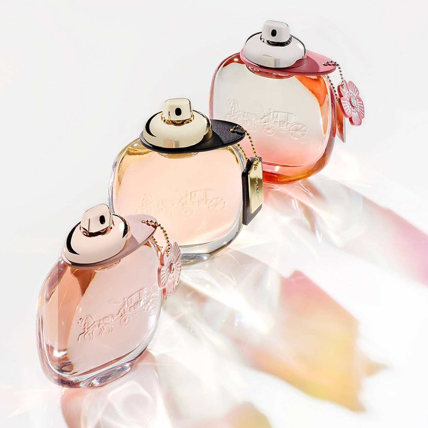 Eau de Parfum