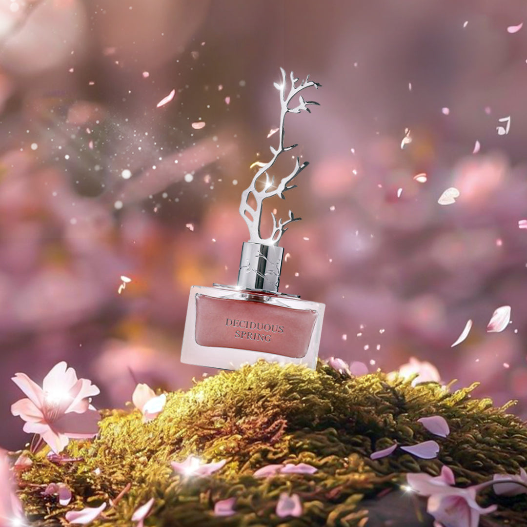 Aurora Deciduous Spring (L) Edp