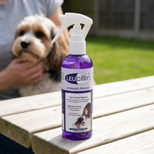 Leucillin Antiseptic Skin Care Spray
